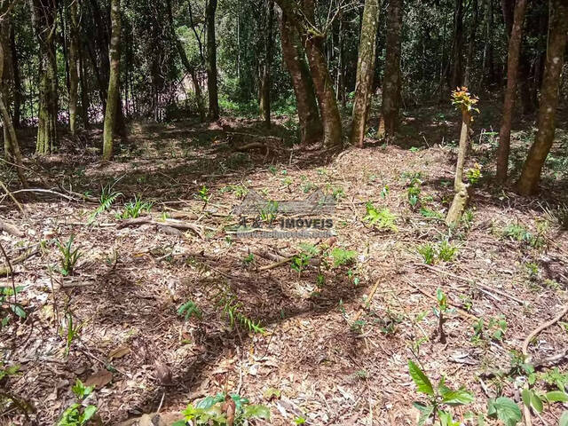 Terreno para Venda em Campos do Jordão - 5