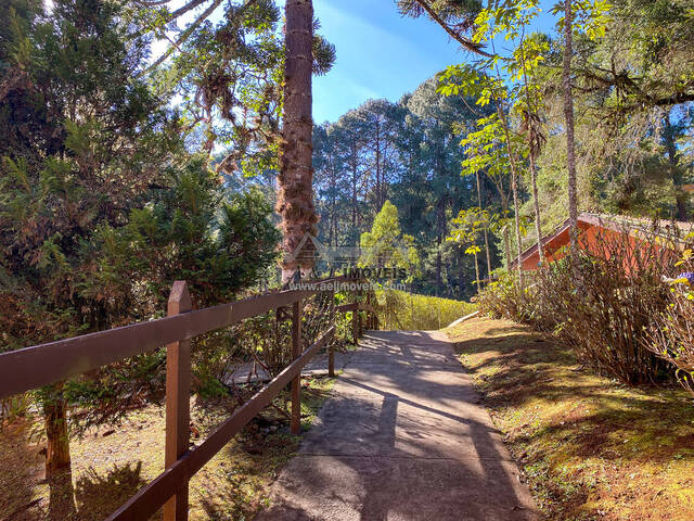 #240 - Apartamento para Venda em Campos do Jordão - SP - 2