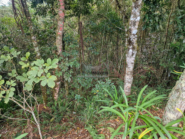 Terreno para Venda em Campos do Jordão - 4