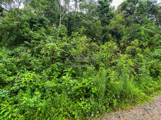 #332 - Terreno para Venda em Campos do Jordão - SP - 2
