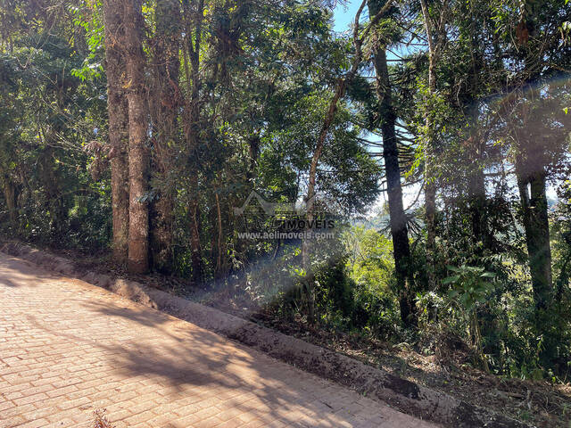 #354 - Terreno para Venda em Campos do Jordão - SP - 2