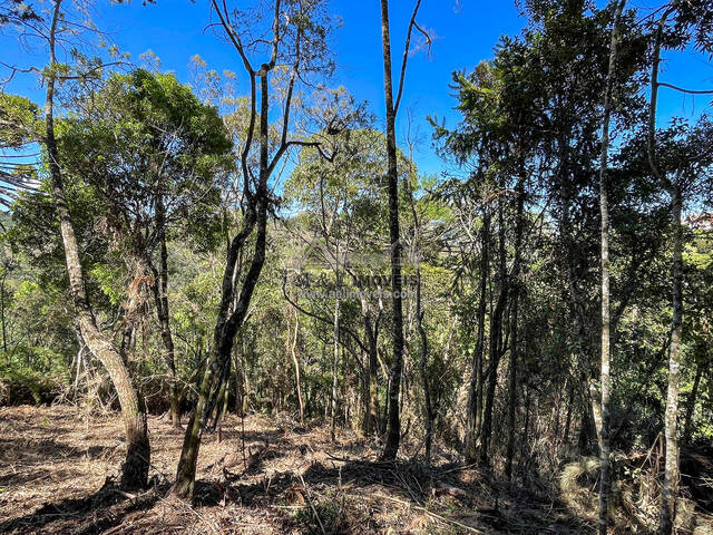 Terreno para Venda em Campos do Jordão - 4