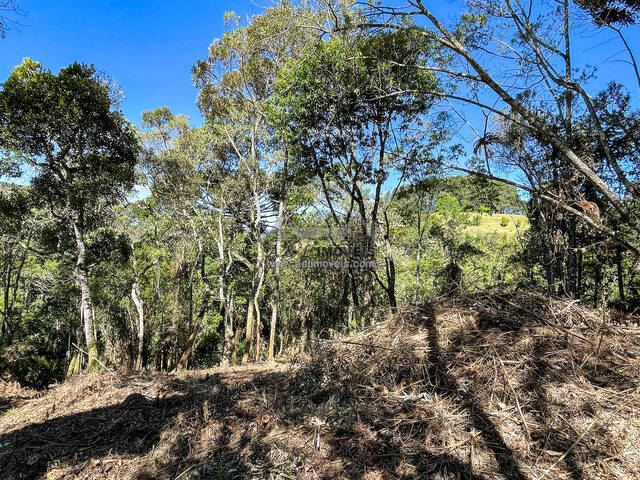 Terreno para Venda em Campos do Jordão - 5