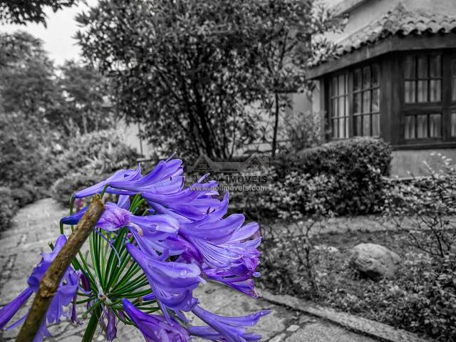 #376 - Casa para Venda em Campos do Jordão - SP - 3