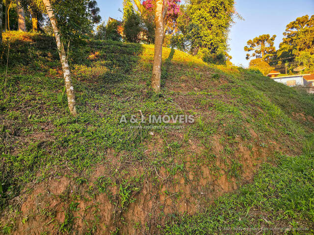 #322 - Terreno para Venda em Campos do Jordão - SP - 3