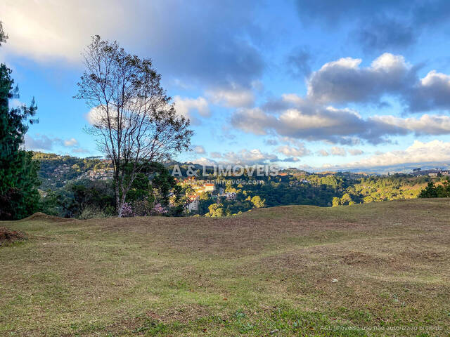 #100 - Terreno para Venda em Campos do Jordão - SP - 3