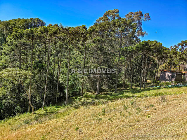 Terreno em condomínio para Venda em Campos do Jordão - 2