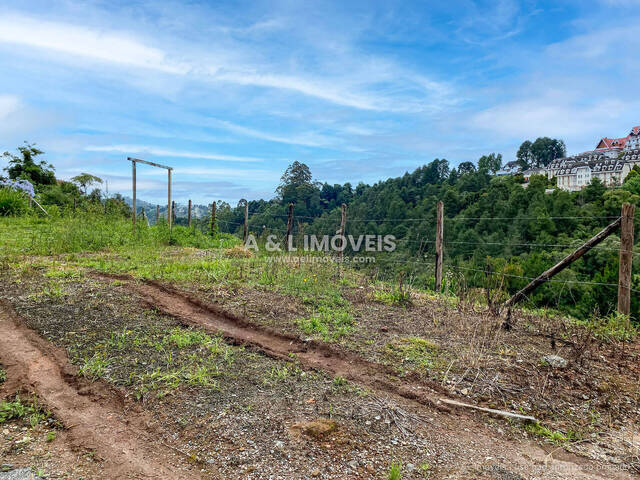 #188 - Terreno para Venda em Campos do Jordão - SP - 3