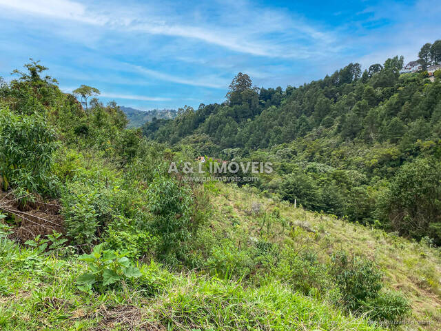 Terreno para Venda em Campos do Jordão - 4