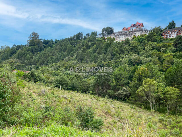 Terreno para Venda em Campos do Jordão - 5