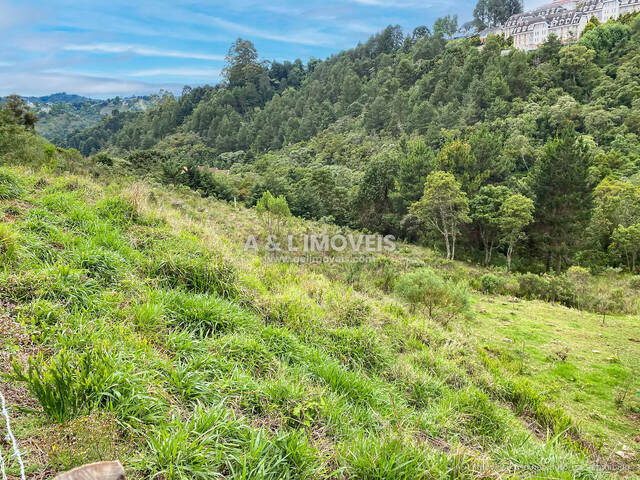 Terreno para Venda em Campos do Jordão - 4