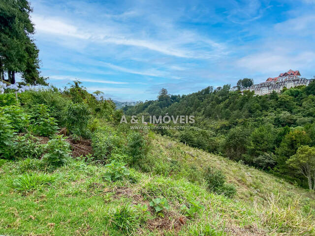 #189 - Terreno para Venda em Campos do Jordão - SP - 2