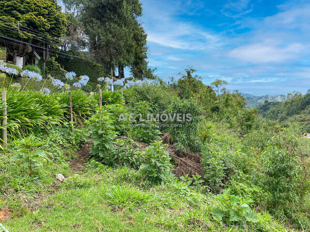#189 - Terreno para Venda em Campos do Jordão - SP - 3